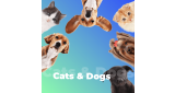 Поп - Cats & Dogs