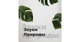 Фоновая - Звуки Природы